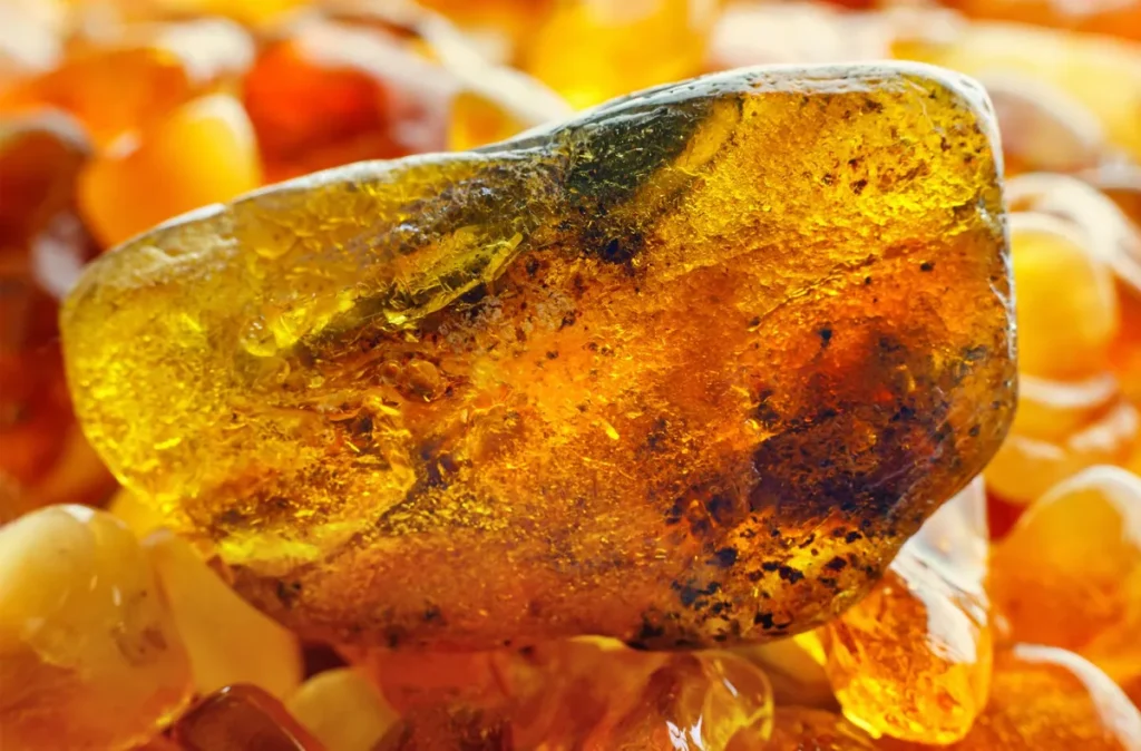 what is baltic amber